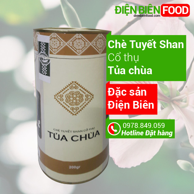 Chè Tuyết San Tủa Chùa Điện Biên